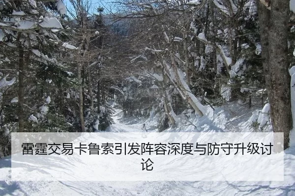 lei-ting-jiao-yi-ka-lu-suo-yin-fa-zhen-rong-shen-du-yu-fang-shou-sheng-ji-tao-lun-2-275.jpg